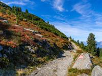 Höhenweg unter rotleuchtendem Berghang